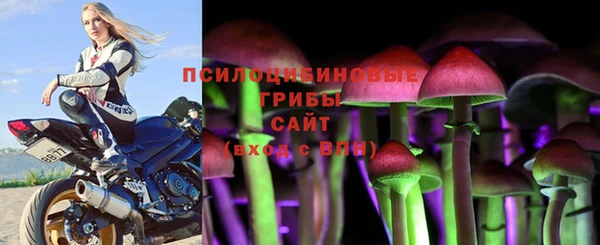 дживик Каменногорск