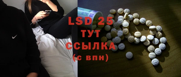 твердый Инсар