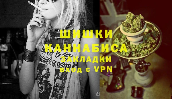твердый Инсар