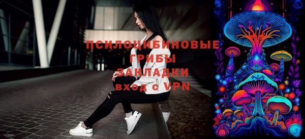 прущая мука Инта