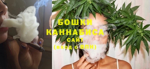 дживик Каменногорск