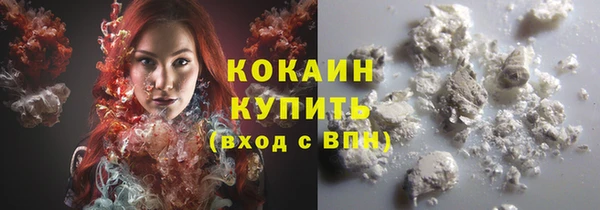 дживик Каменногорск
